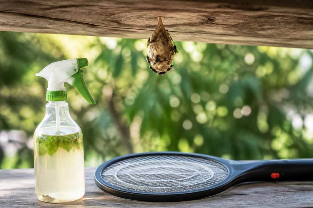 découvrez comment identifier un nid de mouches et les méthodes efficaces pour s'en débarrasser rapidement et durablement.
